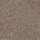 Shaw Floors: Briceville Classic 12' River Slate